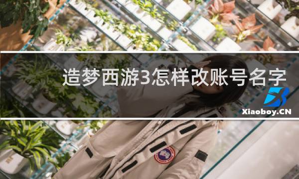 造梦西游3怎样改账号名字