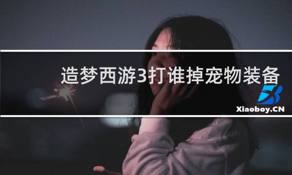 造梦西游3打谁掉宠物装备