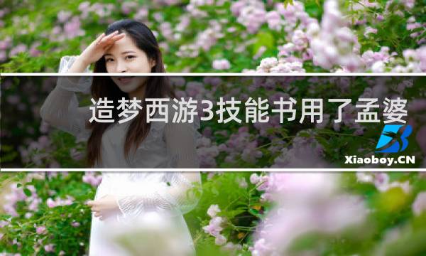 造梦西游3技能书用了孟婆
