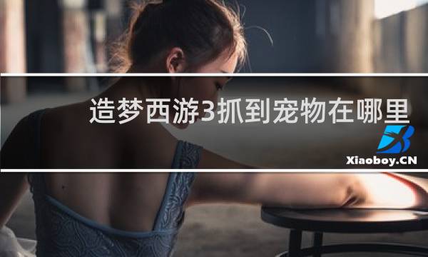 造梦西游3抓到宠物在哪里