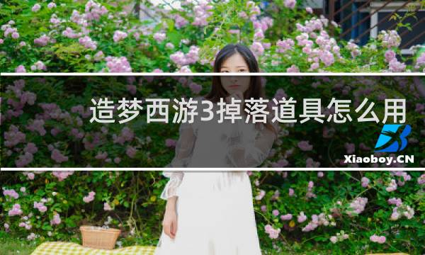 造梦西游3掉落道具怎么用
