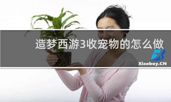 造梦西游3收宠物的怎么做