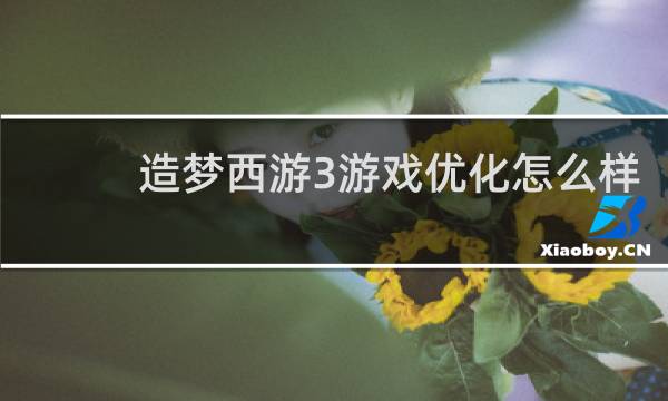 造梦西游3游戏优化怎么样