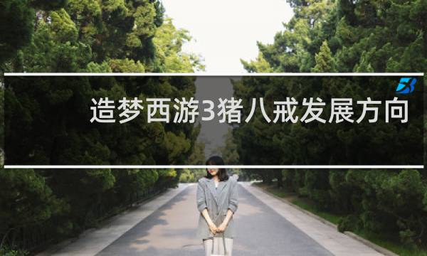 造梦西游3猪八戒发展方向