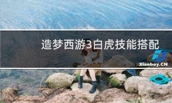 造梦西游3白虎技能搭配