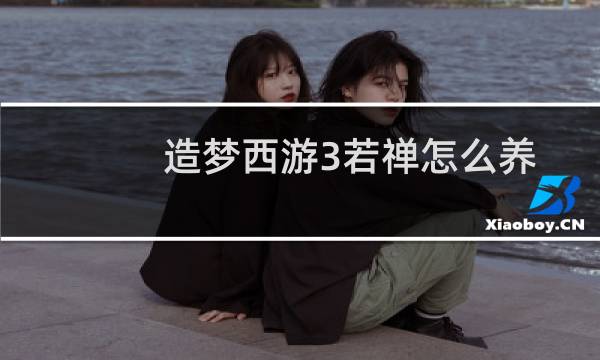 造梦西游3若禅怎么养