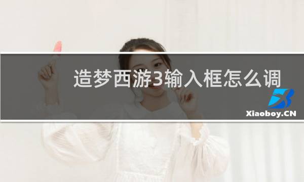 造梦西游3输入框怎么调