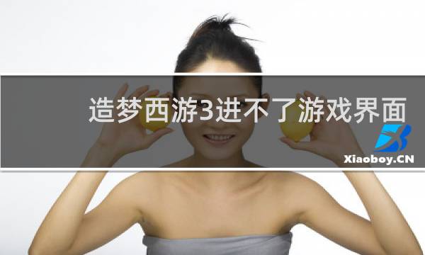 造梦西游3进不了游戏界面