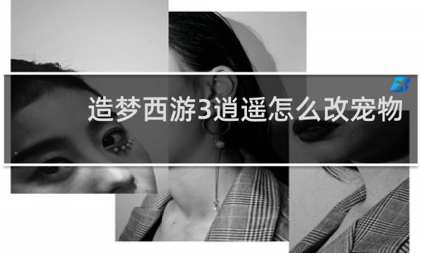 造梦西游3逍遥怎么改宠物