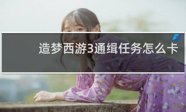 造梦西游3通缉任务怎么卡