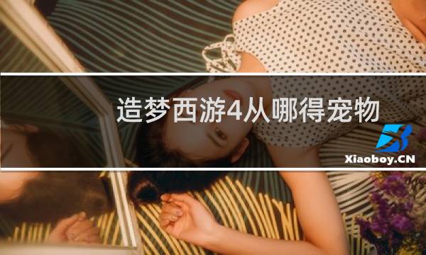 造梦西游4从哪得宠物