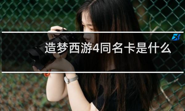 造梦西游4同名卡是什么