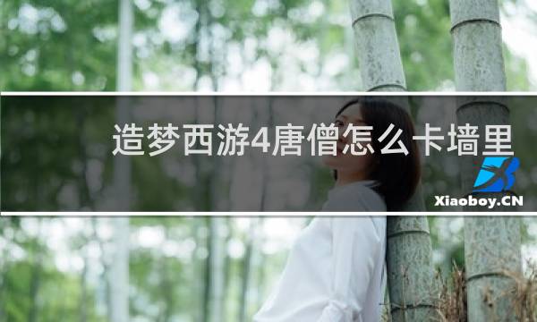 造梦西游4唐僧怎么卡墙里