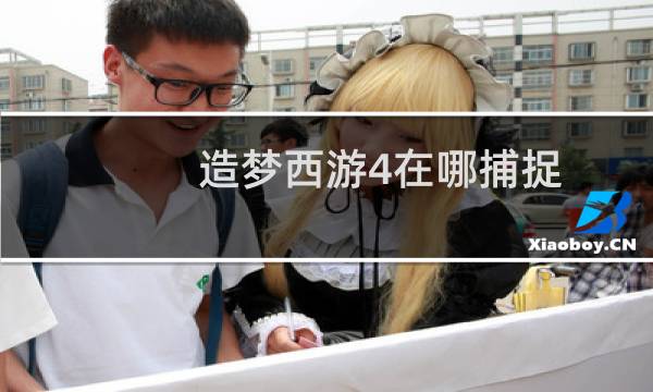 造梦西游4在哪捕捉