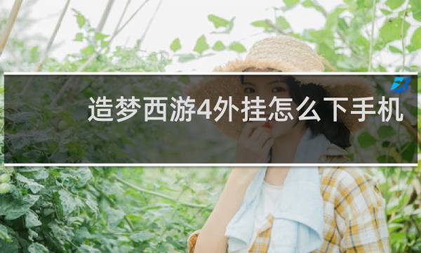 造梦西游4外挂怎么下手机