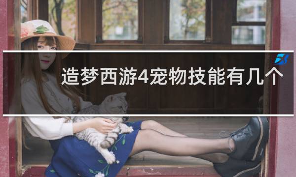 造梦西游4宠物技能有几个