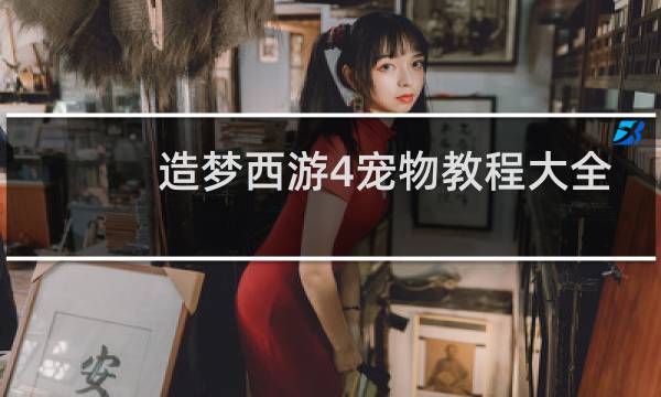 造梦西游4宠物教程大全