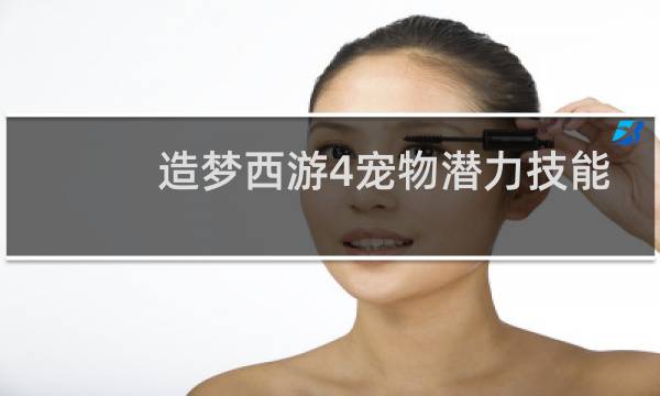 造梦西游4宠物潜力技能