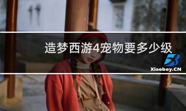 造梦西游4宠物要多少级