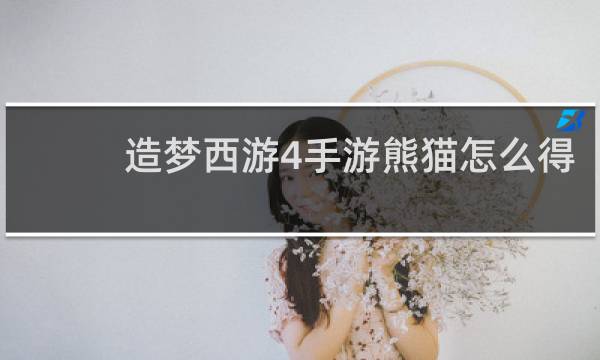 造梦西游4手游熊猫怎么得