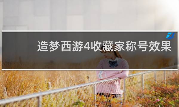 造梦西游4收藏家称号效果