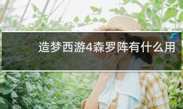 造梦西游4森罗阵有什么用