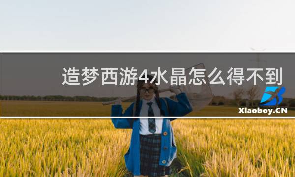 造梦西游4水晶怎么得不到