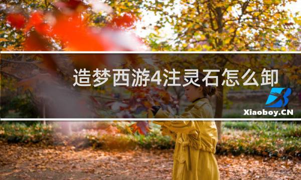 造梦西游4注灵石怎么卸