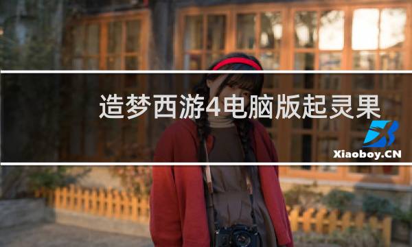 造梦西游4电脑版起灵果