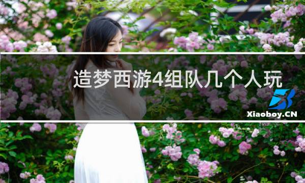 造梦西游4组队几个人玩
