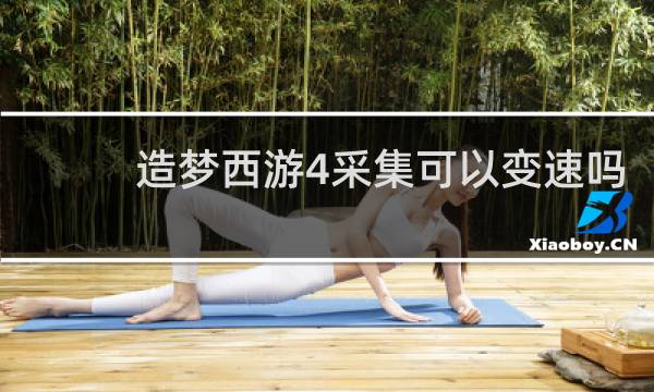 造梦西游4采集可以变速吗
