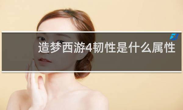 造梦西游4韧性是什么属性