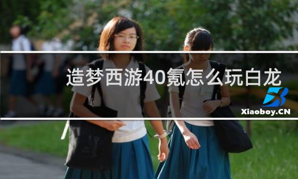 造梦西游40氪怎么玩白龙