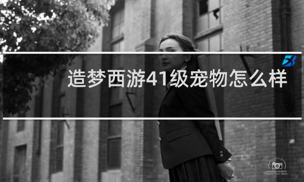 造梦西游41级宠物怎么样