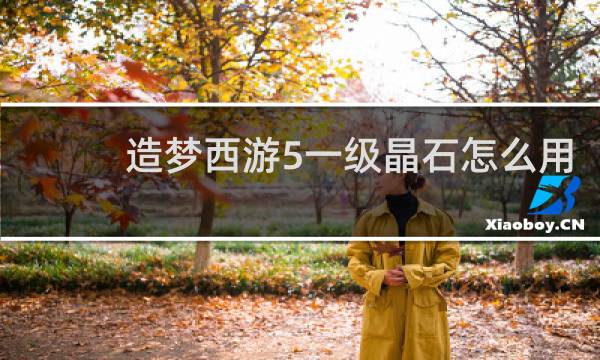 造梦西游5一级晶石怎么用