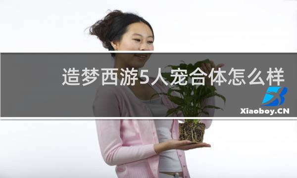 造梦西游5人宠合体怎么样