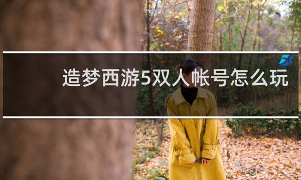 造梦西游5双人帐号怎么玩