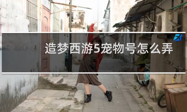 造梦西游5宠物号怎么弄