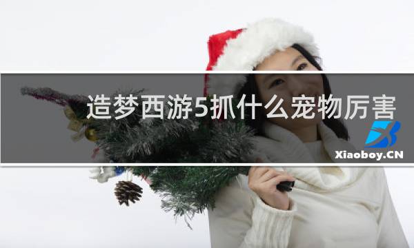 造梦西游5抓什么宠物厉害