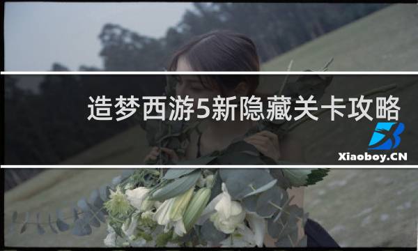 造梦西游5新隐藏关卡攻略