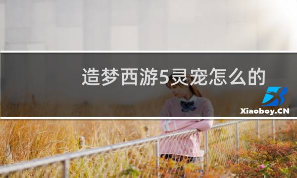 造梦西游5灵宠怎么的