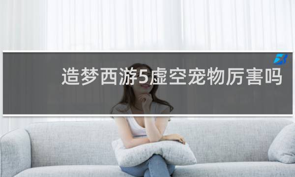 造梦西游5虚空宠物厉害吗