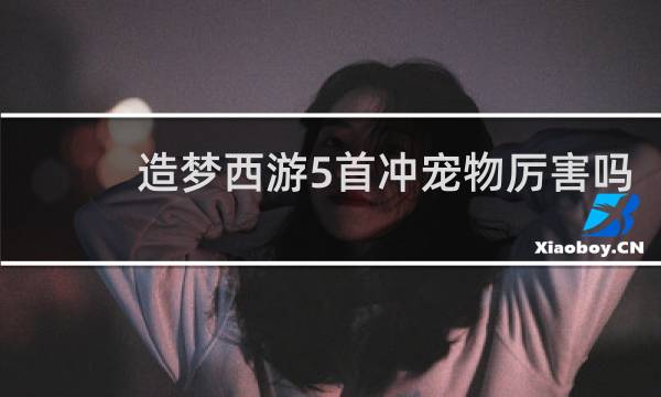 造梦西游5首冲宠物厉害吗