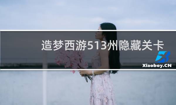 造梦西游513州隐藏关卡