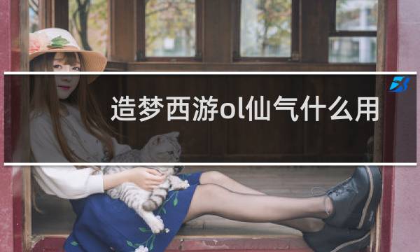 造梦西游ol仙气什么用