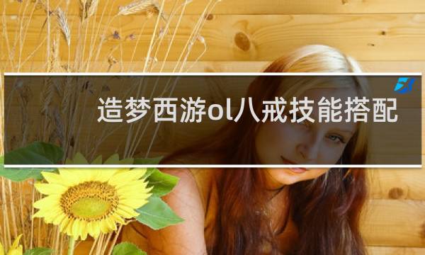 造梦西游ol八戒技能搭配