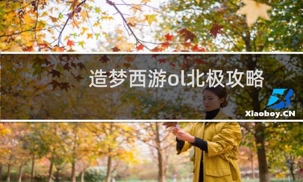 造梦西游ol北极攻略