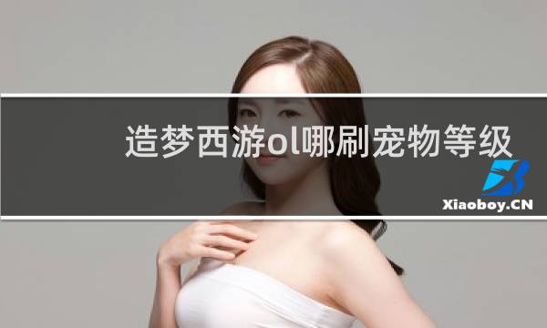 造梦西游ol哪刷宠物等级