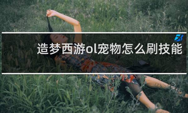 造梦西游ol宠物怎么刷技能