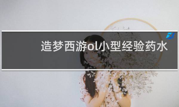 造梦西游ol小型经验药水